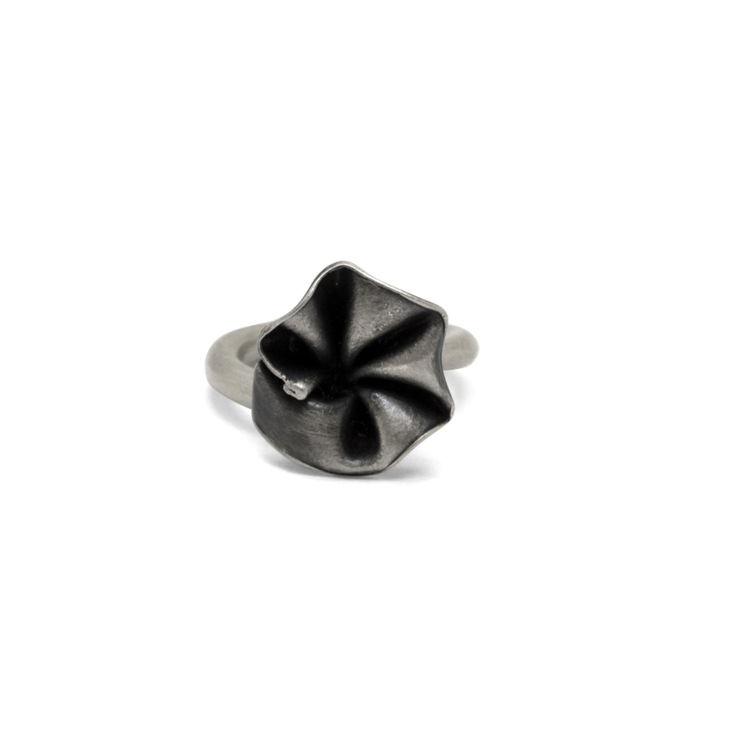 Anillo abierto flora
